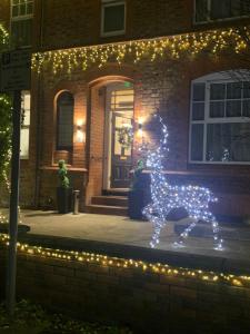 艾纯查姆46 Ashfield Rd, Altrincham的狗在房子前的圣诞轻雕