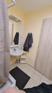 莫雄马扎尔古堡Lucsony Apartman的一间带水槽和镜子的浴室