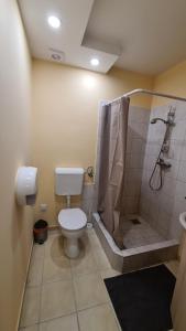 莫雄马扎尔古堡Lucsony Apartman的一间带卫生间和淋浴的浴室