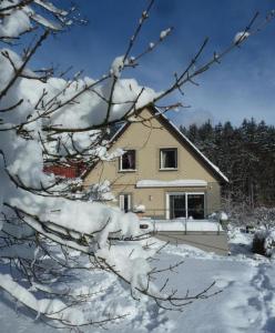 伊尔梅瑙Antoinettes Ferienwohnung的树枝上积雪的房子