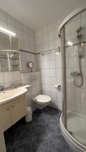 多鲁姆纽菲尔德Ferienwohnung am Kormoranweg的一间带水槽、卫生间和淋浴的浴室