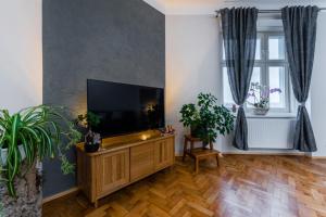 布拉格Alla Prague Apartment的木质娱乐中心设有带平面电视的客厅。