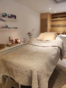 AndenneAu Pré de Mukky的一间卧室配有一张床铺,床上有毯子