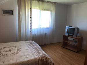 丰达塔Cabana Fundata的一间卧室配有一张床和电视