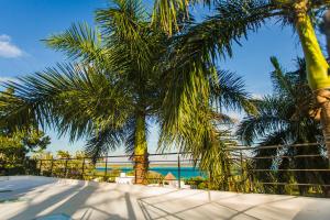 巴卡拉尔Camino del Alma Apartments的一组棕榈树,背景是大海