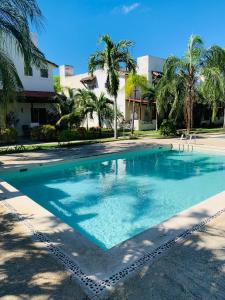 普拉亚卡门La Casa de Leo Recamara 1 Villa Cardiell QROO的一座棕榈树游泳池和一座建筑