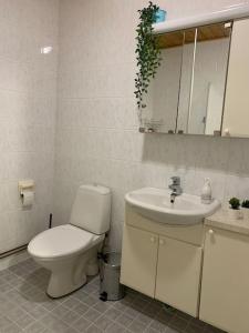 萨里耶尔维Tilava huoneisto的一间带卫生间和水槽的浴室
