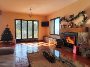 埃尔阿雷纳尔El Pinarejo的客厅设有壁炉和圣诞树