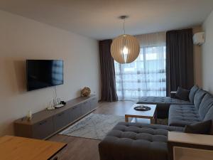 帕扎尔吉克City Apartments 2的带沙发和平面电视的客厅