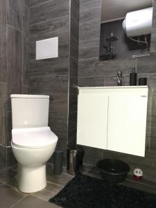 帕扎尔吉克City Apartments 1的浴室配有白色卫生间和盥洗盆。