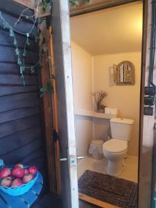 希奥利艾PO NENDRIŲ STOGU的一间带卫生间和一碗苹果的浴室