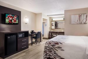 图珀洛图珀洛红屋顶酒店的酒店客房配有一张床、一张书桌和一台电视。
