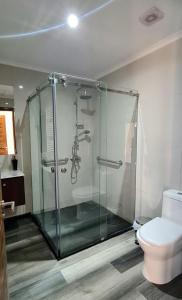 科克拉内Hotel HORSTMEYER的浴室设有玻璃淋浴间和卫生间
