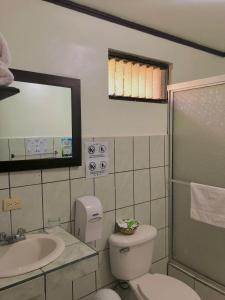 阿拉胡埃拉Brillasol Airport Hotel的一间带卫生间、水槽和镜子的浴室