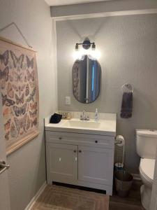 HamiltonThe Delores - 2 Bedroom Apt in Quilt Town, USA的一间带水槽、卫生间和镜子的浴室