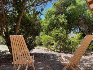 拉塞雷纳El Arbol Eco Lodge的树荫下两把木椅