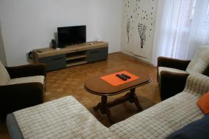 TrstenikApartman Kneginja的客厅配有咖啡桌和电视