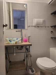 布兰卡港Andanzas Bahia Empatia的一间带卫生间、水槽和镜子的浴室