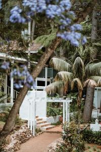 詹伯茹The Lodge Jamberoo的一座棕榈树掩映的白色房子