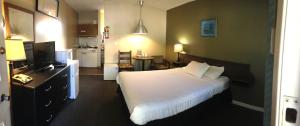 Trail雷林恩汽车旅馆的酒店客房带一张床和一个厨房