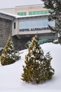 布什泰尼Hotel Alexandros Busteni的建筑物前的雪中两棵树