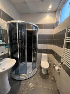 第比利斯萨纳皮罗第比利斯酒店的带淋浴、卫生间和盥洗盆的浴室