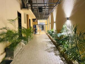 卡拉奇Hamsun Shahrah-e-Faisal的建筑一侧的走廊上,有植物