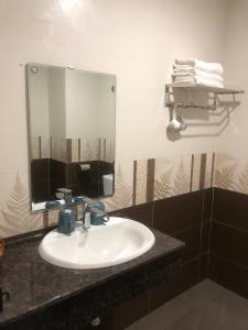 荣市Trường Thịnh Hotel的一间带水槽和镜子的浴室