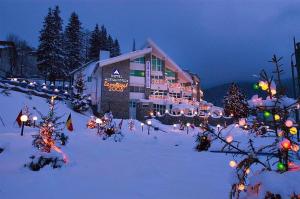 布什泰尼Hotel Alexandros Busteni的雪中闪烁的灯笼罩着的建筑
