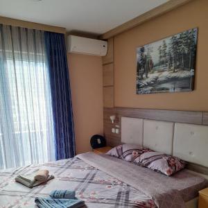 索科矿泉村KONAK ViLA MIRKOVIĆ的一间卧室设有一张床和一个窗口