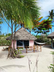 米查维Princess of Zanzibar的海滩上的小小屋,有棕榈树