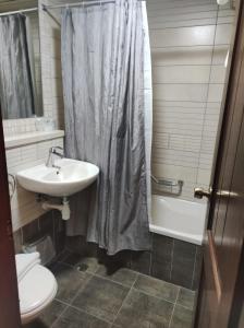 阿卡埃克泰尔精品酒店的一间带水槽和淋浴帘的浴室