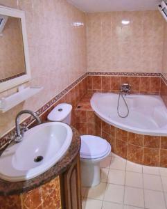 突尼斯Hotel Dar Ali的一间带水槽、浴缸和卫生间的浴室