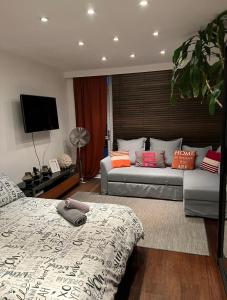 伦敦Prospect House的一间卧室配有一张床和一台平面电视
