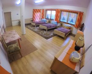 斯维德尼克Apartamenty, mieszkanie na wynajem, 110m2, w Świdniku k Lublina的享有带紫色家具的客厅的顶部景色。