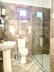 RizokarpasoKarpaz Lembusa Guest House的一间带卫生间和玻璃淋浴间的浴室