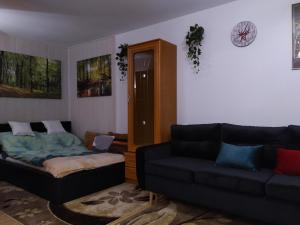 海乌姆Mieszkanie w Centrum Chełma的客厅配有两张沙发和一张沙发