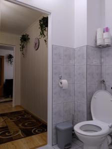海乌姆Mieszkanie w Centrum Chełma的浴室设有卫生间和一卷卫生纸