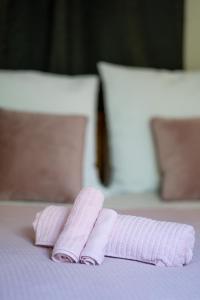 雅典Magnificent Loft Athens Voula的床上一双粉红色的毛巾