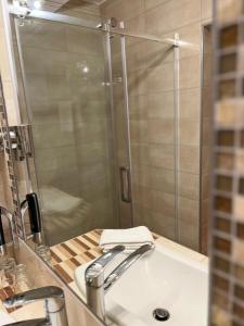 梅尔齐希Hotel Stadtvilla Laux的一间带水槽和淋浴的浴室