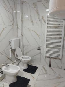 VrnjciSobe Milica Vrnjacka Banja的白色的浴室设有卫生间和水槽。