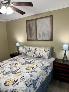 杰克逊Trinity One Apartments - Country Luxury的一间卧室配有一张床和吊扇