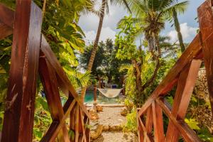 梅里达Che Nomadas Mérida Hostel Adults Only的通往棕榈树游泳池的木门