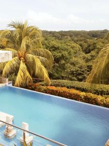 格拉纳达Finca Balcones de Granada的享有丛林景色的游泳池