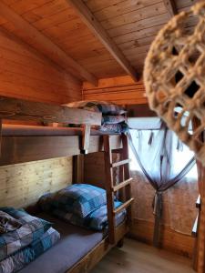 ŁazanyDomki na Górniej Łące - Dwa Wróble的小屋内设有一间带两张双层床的卧室