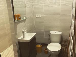 纳博讷LA DI MARIA的一间带卫生间和水槽的小浴室