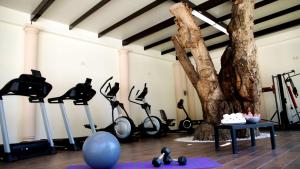 图拉德阿连德Hotel Real Home的健身房设有健身自行车和树