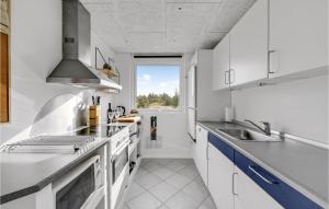 哈博尔Nice Home In Harbore With Wifi的厨房配有白色橱柜、水槽和窗户。