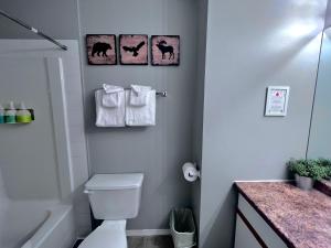 坎莫尔加拿大落基山小屋酒店的浴室配有卫生间和墙上的毛巾。