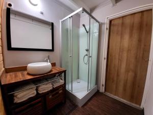 勒唐蓬Tiny House Chaleureuse au Style Contemporain Minimaliste的一间带玻璃淋浴和水槽的浴室
